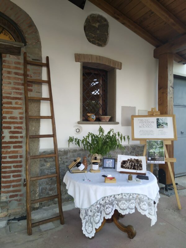 Un filosofo tra gli ulivi - Esperienza - immagine 5