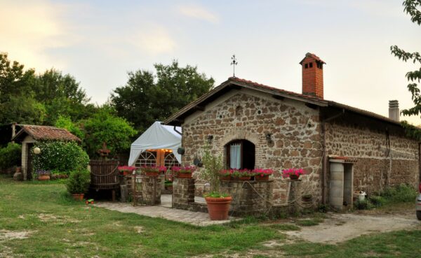 "Agricoltura con cura" -  Corso sulla raccolta delle erbe spontanee  - Esperienza con pranzo - immagine 6