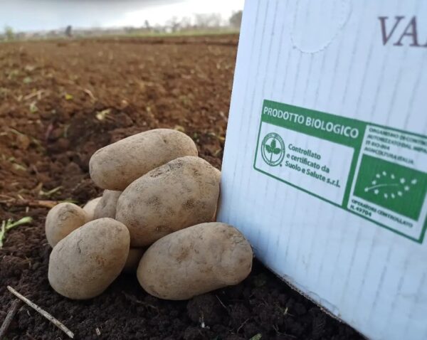 "Agricoltura con cura" -  Corso sulla raccolta delle erbe spontanee  - Esperienza con pranzo - immagine 8