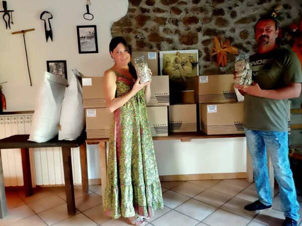 "Agricoltura con cura" -  Corso sulla raccolta delle erbe spontanee  - Esperienza con pranzo - immagine 5
