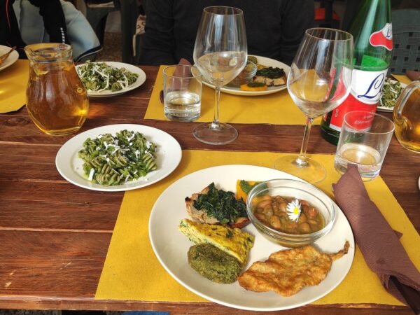"Agricoltura con cura" -  Corso sulla raccolta delle erbe spontanee  - Esperienza con pranzo - immagine 9