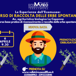 "Agricoltura con cura" -  Corso sulla raccolta delle erbe spontanee  - Esperienza